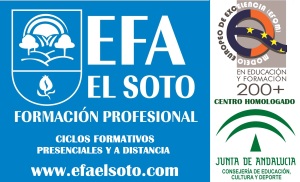 logo EFA 2014 con EFQM+200